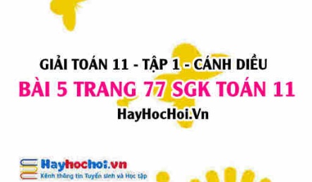 Giải bài 5 trang 77 Toán 11 tập 1 SGK Cánh Diều